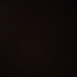 Meet your Posher, Dafne